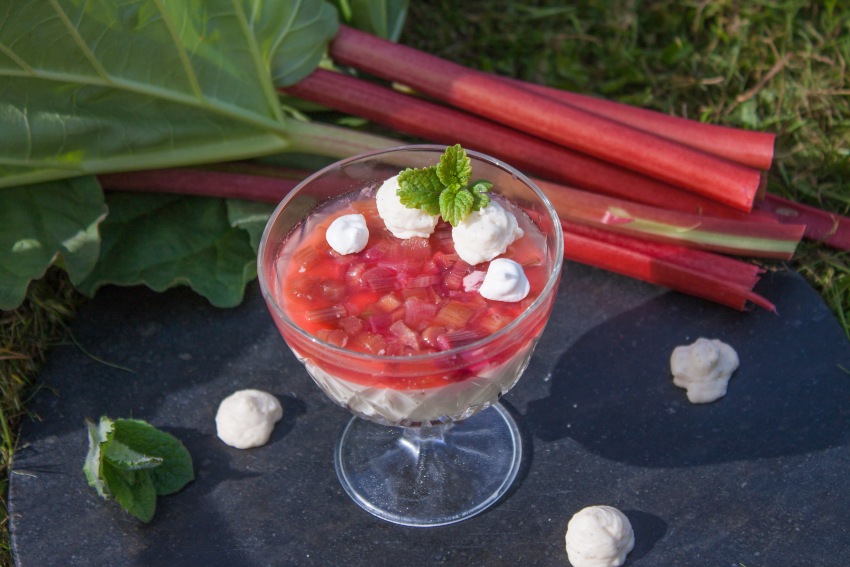 Rhabarber Panna Cotta Bowl, zwischen Rhabarber, Minze und Vanille Pannacotta