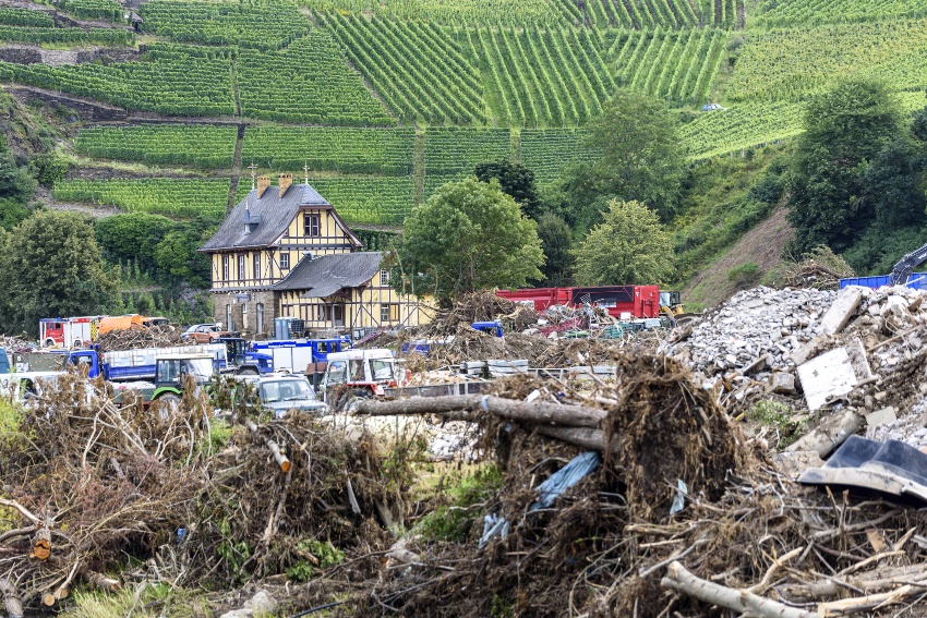 Viele Rebstöcke sind durch die Hanglage vom Hochwasser verschont geblieben Hochwasser 2021 im Eifelgebiet - Weinjahrgang 2021