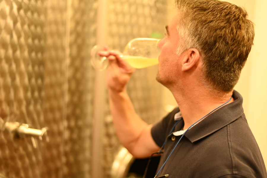 Mann trinkt Wein - Blick auf den Weinjahrgang 2021