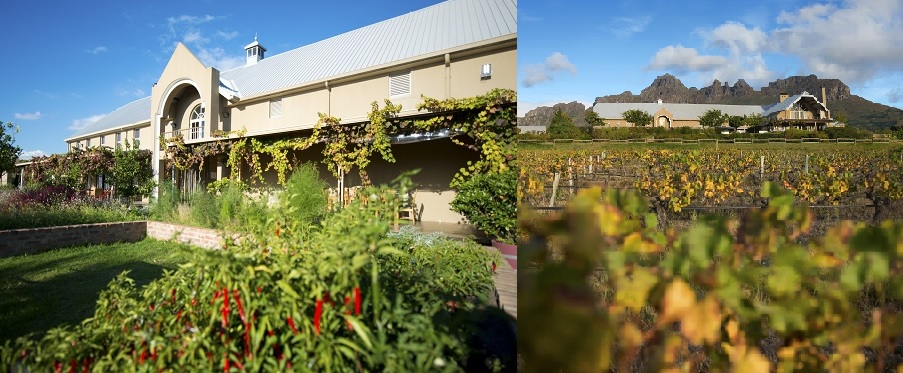 Longridge Winery | Spitzenweine nach nach biodynamischen Prinzipien aus Südafrika