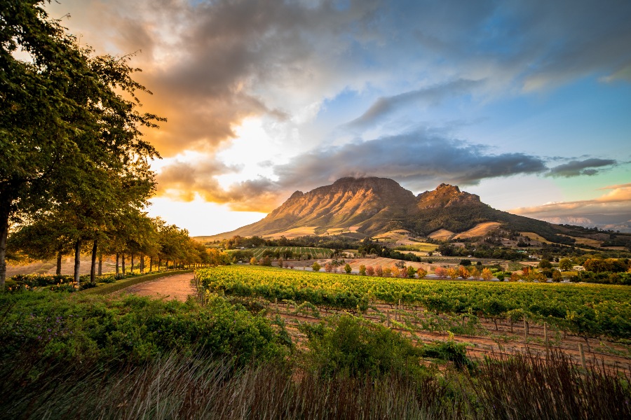 Weinregion Stellenbosch