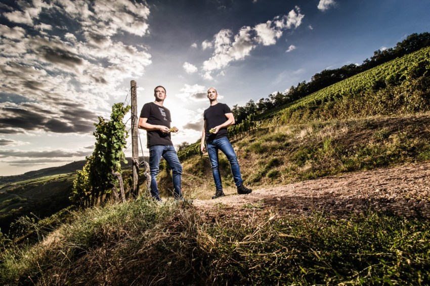 Weingut Bischel - Die Weine von den Runkel Brüdern