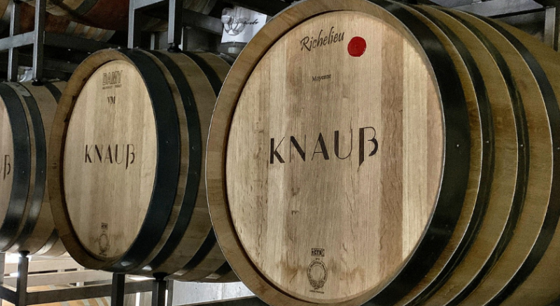 Das Weingut Knauß - für Weinliebhaber! - Öko-Wein