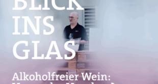 Oliver Schmid mit kritischem Blick